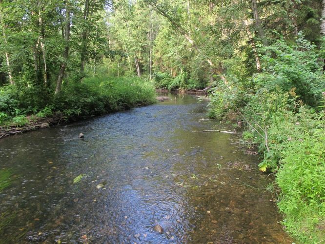 Maakond: Tartumaa Veekogu nimi: Elva jõgi Pildistamise aeg: juuli 2011 Pildistaja: H. Timm Pildistamise koht: Vitipalu Asimuut: