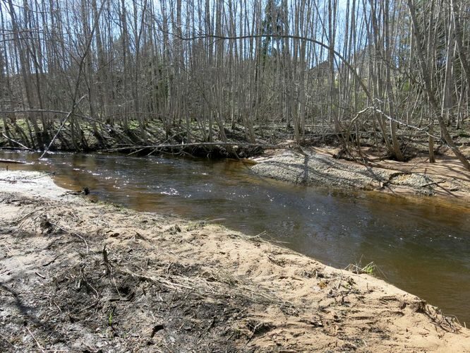 Maakond: Valgamaa Veekogu nimi: Elva jõgi Pildistamise aeg: 2. mai 2013 Pildistaja: H. Timm Pildistamise koht: Rundsu Asimuut: