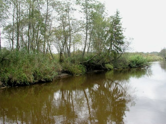 Maakond: Tartumaa Veekogu nimi: Emajõgi Pildistamise aeg: 16. september 2003 Pildistaja: H. Timm Pildistamise koht: teadmata Asimuut: