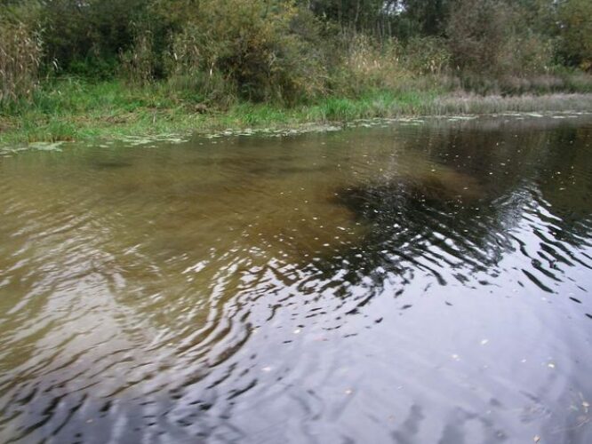 Maakond: Tartumaa Veekogu nimi: Emajõgi Pildistamise aeg: 16. september 2003 Pildistaja: H. Timm Pildistamise koht: teadmata Asimuut: