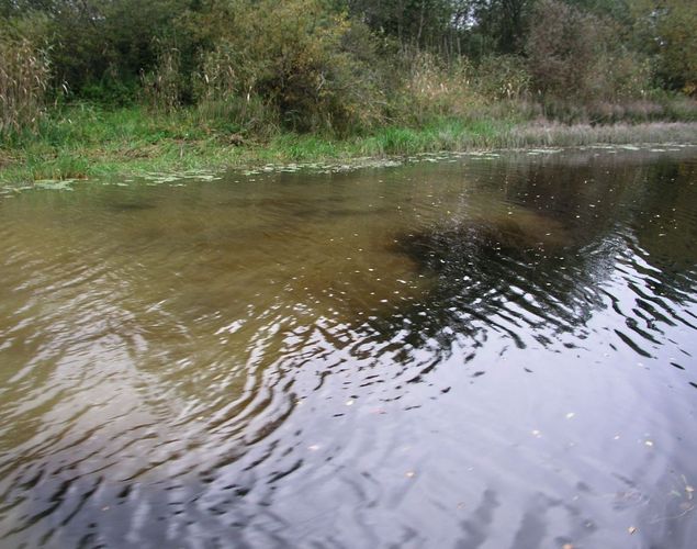 Maakond: Tartumaa Veekogu nimi: Emajõgi Pildistamise aeg: 16. september 2003 Pildistaja: H. Timm Pildistamise koht: teadmata Asimuut: