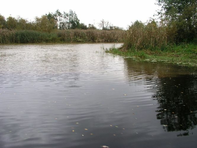 Maakond: Tartumaa Veekogu nimi: Emajõgi Pildistamise aeg: 16. september 2003 Pildistaja: H. Timm Pildistamise koht: teadmata Asimuut: