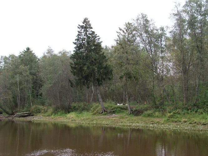 Maakond: Tartumaa Veekogu nimi: Emajõgi Pildistamise aeg: 16. september 2003 Pildistaja: H. Timm Pildistamise koht: teadmata Asimuut: