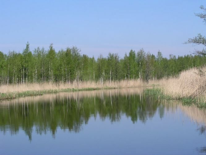 Maakond: Tartumaa Veekogu nimi: Emajõgi Pildistamise aeg: 23. mai 2005 Pildistaja: H. Timm Pildistamise koht: teadmata Asimuut: