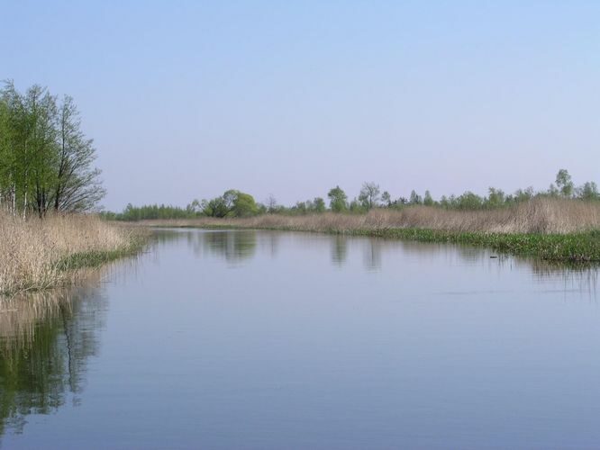 Maakond: Tartumaa Veekogu nimi: Emajõgi Pildistamise aeg: 23. mai 2005 Pildistaja: H. Timm Pildistamise koht: teadmata Asimuut: