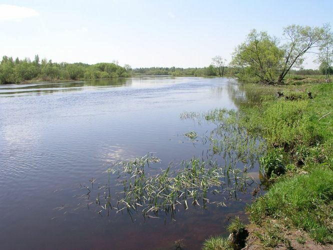 Maakond: Tartumaa Veekogu nimi: Emajõgi Pildistamise aeg: 23. mai 2005 Pildistaja: H. Timm Pildistamise koht: Kantsi keskus Asimuut: