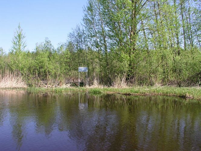 Maakond: Tartumaa Veekogu nimi: Emajõgi Pildistamise aeg: 23. mai 2005 Pildistaja: H. Timm Pildistamise koht: teadmata Asimuut: