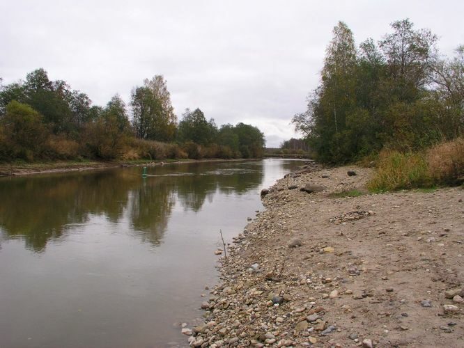 Maakond: Tartumaa Veekogu nimi: Emajõgi Pildistamise aeg: 16. oktoober 2006 Pildistaja: H. Timm Pildistamise koht: Reku Asimuut: