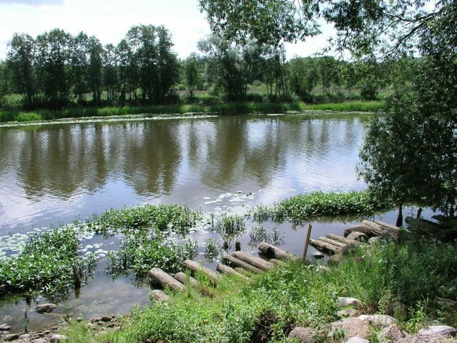 Maakond: Tartumaa Veekogu nimi: Emajõgi Pildistamise aeg: 16. oktoober 2006 Pildistaja: H. Timm Pildistamise koht: Kastre LK keskusest üle jõe Asimuut: