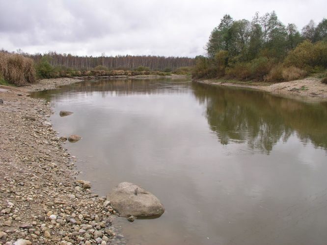 Maakond: Tartumaa Veekogu nimi: Emajõgi Pildistamise aeg: 16. oktoober 2006 Pildistaja: H. Timm Pildistamise koht: Reku Asimuut: