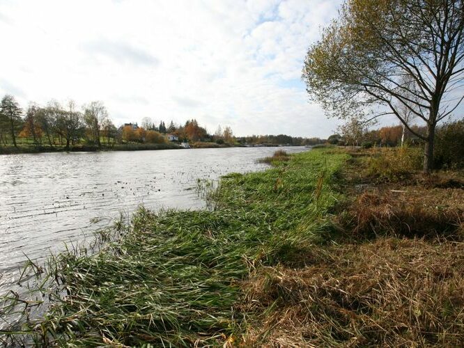 Maakond: Tartumaa Veekogu nimi: Emajõgi Pildistamise aeg: 14. oktoober 2008 Pildistaja: H. Timm Pildistamise koht: Kavastu Asimuut: