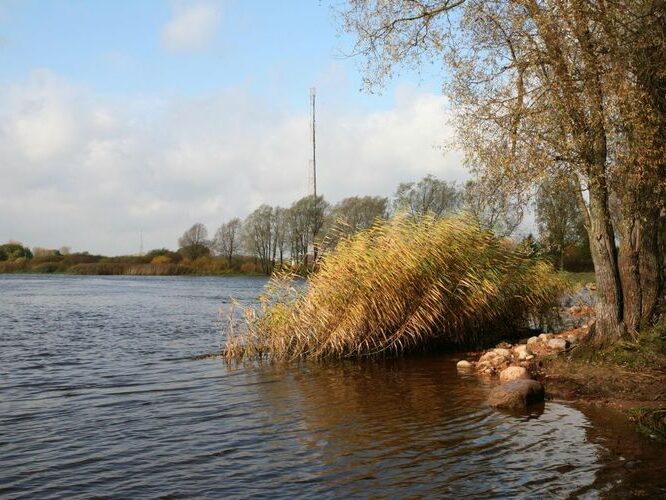 Maakond: Tartumaa Veekogu nimi: Emajõgi Pildistamise aeg: 14. oktoober 2008 Pildistaja: H. Timm Pildistamise koht: Ihaste Asimuut: