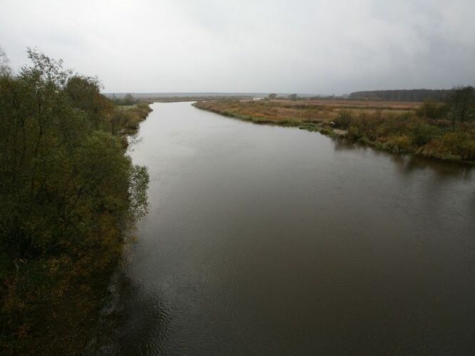 Maakond: Tartumaa Veekogu nimi: Emajõgi Pildistamise aeg: 14. oktoober 2008 Pildistaja: H. Timm Pildistamise koht: Kärevere vanalt sillalt Asimuut: