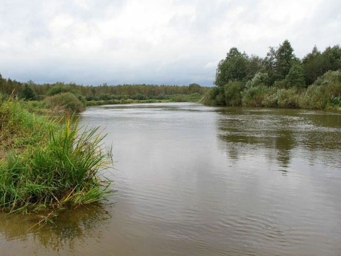 | Maakond: Tartumaa Veekogu nimi: Emajõgi Pildistamise aeg: 17. september 2010 Pildistaja: H. Timm Pildistamise koht: Reku Asimuut: