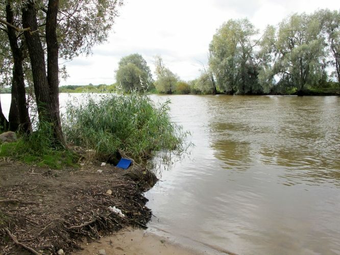 Maakond: Tartumaa Veekogu nimi: Emajõgi Pildistamise aeg: 17. september 2010 Pildistaja: H. Timm Pildistamise koht: Ihaste Asimuut: