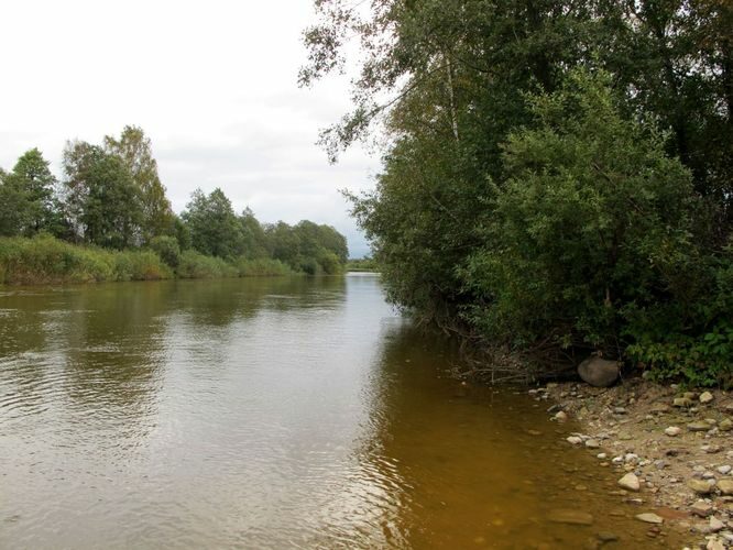 Maakond: Tartumaa Veekogu nimi: Emajõgi Pildistamise aeg: 17. september 2010 Pildistaja: H. Timm Pildistamise koht: Reku Asimuut: