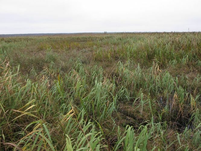 Maakond: Tartumaa Veekogu nimi: Emajõgi Pildistamise aeg: 3. oktoober 2012 Pildistaja: H. Timm Pildistamise koht: Karisto enne suuet Asimuut: