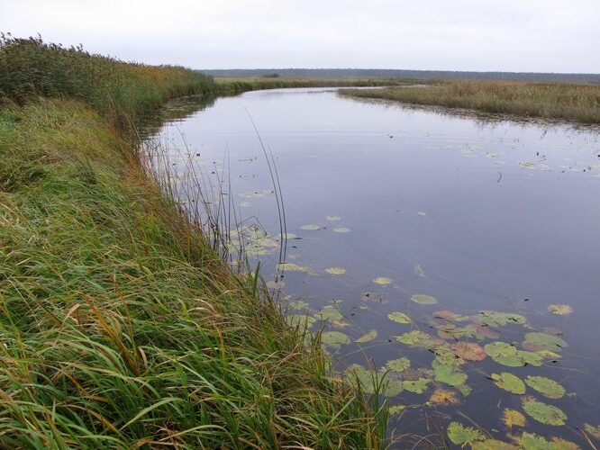 Maakond: Tartumaa Veekogu nimi: Emajõgi Pildistamise aeg: 3. oktoober 2012 Pildistaja: H. Timm Pildistamise koht: I kaevandi keskosa Asimuut: