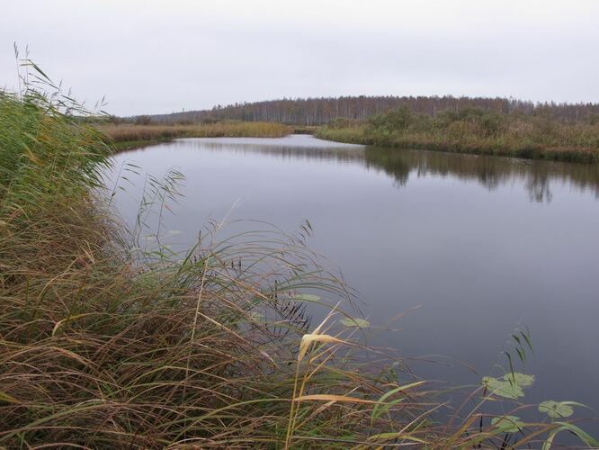 Maakond: Tartumaa Veekogu nimi: Emajõgi Pildistamise aeg: 3. oktoober 2012 Pildistaja: H. Timm Pildistamise koht: Karisto alamjooks Asimuut: