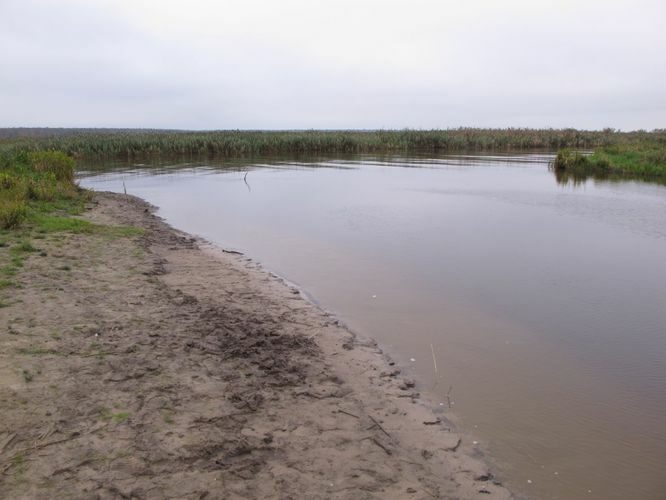 Maakond: Tartumaa Veekogu nimi: Emajõgi Pildistamise aeg: 3. oktoober 2012 Pildistaja: H. Timm Pildistamise koht: I kaevand Asimuut: