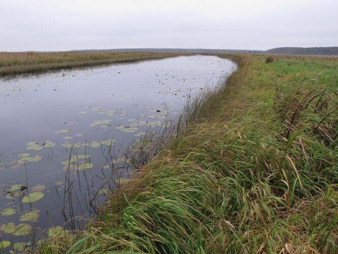 Maakond: Tartumaa Veekogu nimi: Emajõgi Pildistamise aeg: 3. oktoober 2012 Pildistaja: H. Timm Pildistamise koht: I kaevandi keskosa Asimuut: