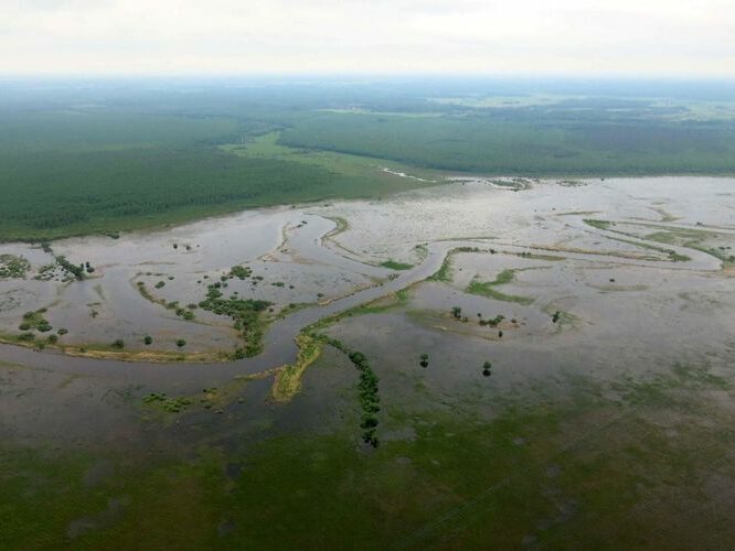 Maakond: Tartumaa Veekogu nimi: Emajõgi Pildistamise aeg: 29. mai 2013 Pildistaja: H. Timm Pildistamise koht: aerofoto Asimuut: