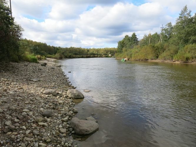 Maakond: Tartumaa Veekogu nimi: Emajõgi Pildistamise aeg: 26. september 2013 Pildistaja: H. Timm Pildistamise koht: Reku Asimuut: