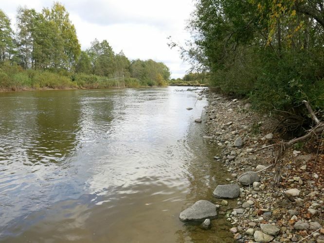 Maakond: Tartumaa Veekogu nimi: Emajõgi Pildistamise aeg: 26. september 2013 Pildistaja: H. Timm Pildistamise koht: Reku Asimuut: