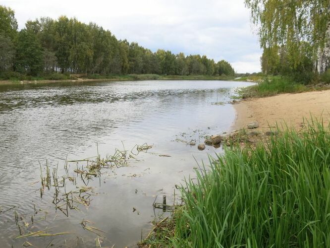 Maakond: Tartumaa Veekogu nimi: Emajõgi Pildistamise aeg: 26. september 2013 Pildistaja: H. Timm Pildistamise koht: Kvissental Asimuut: