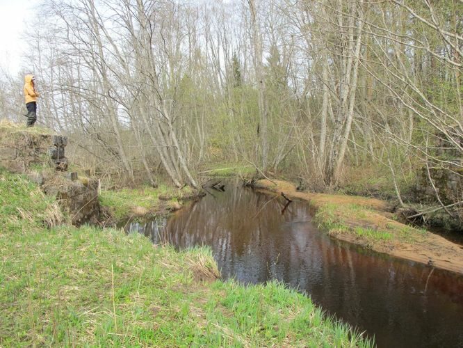 Maakond: Valgamaa Veekogu nimi: Hargla oja Pildistamise aeg: 29. aprill 2012 Pildistaja: H. Timm Pildistamise koht: vana raudteetammi juures Asimuut: