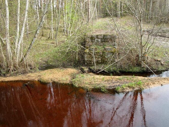 Maakond: Valgamaa Veekogu nimi: Hargla oja Pildistamise aeg: 29. aprill 2012 Pildistaja: H. Timm Pildistamise koht: vana raudteetammi juures Asimuut: