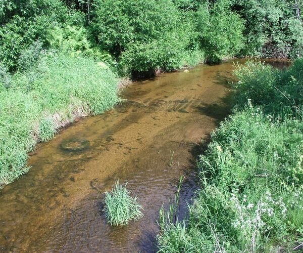 Maakond: Valgamaa Veekogu nimi: Helme jõgi Pildistamise aeg: 24. juuni 2006 Pildistaja: H. Timm Pildistamise koht: teadmata Asimuut: