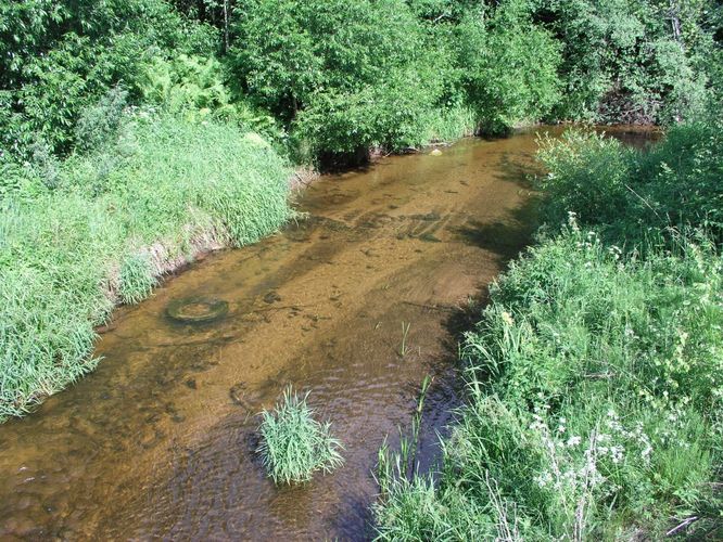 Maakond: Valgamaa Veekogu nimi: Helme jõgi Pildistamise aeg: 24. juuni 2006 Pildistaja: H. Timm Pildistamise koht: teadmata Asimuut: