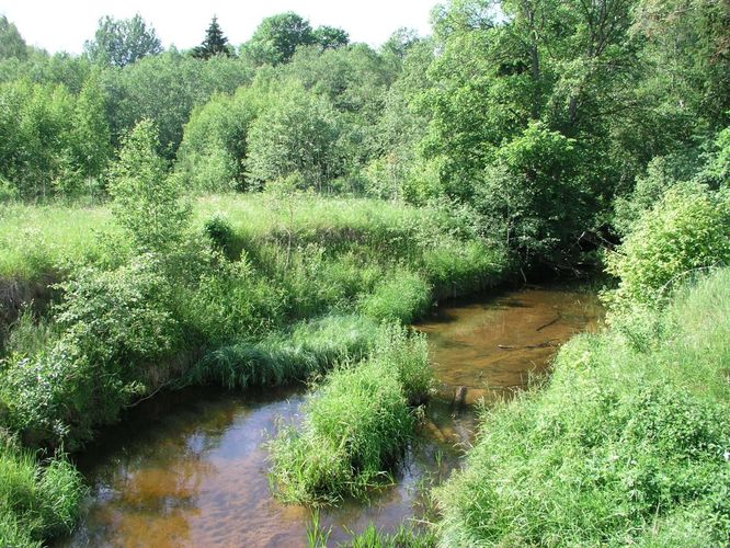 Maakond: Valgamaa Veekogu nimi: Helme jõgi Pildistamise aeg: 24. juuni 2006 Pildistaja: H. Timm Pildistamise koht: teadmata Asimuut: