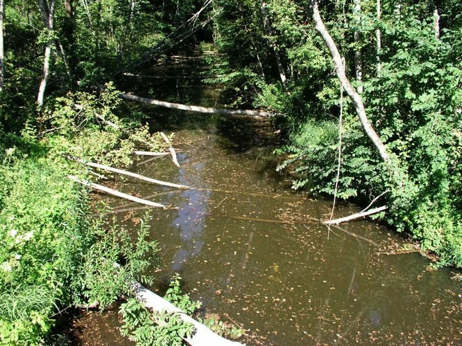 Maakond: Valgamaa Veekogu nimi: Helme jõgi Pildistamise aeg: 22. juuli 2007 Pildistaja: H. Timm Pildistamise koht: Helme Asimuut: