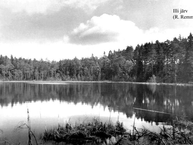 Maakond: Tartumaa Veekogu nimi: Illi Suurjärv Pildistamise aeg: teadmata Pildistaja: J. Remmel (Eesti Looduse arhiiv) Pildistamise koht: teadmata Asimuut: