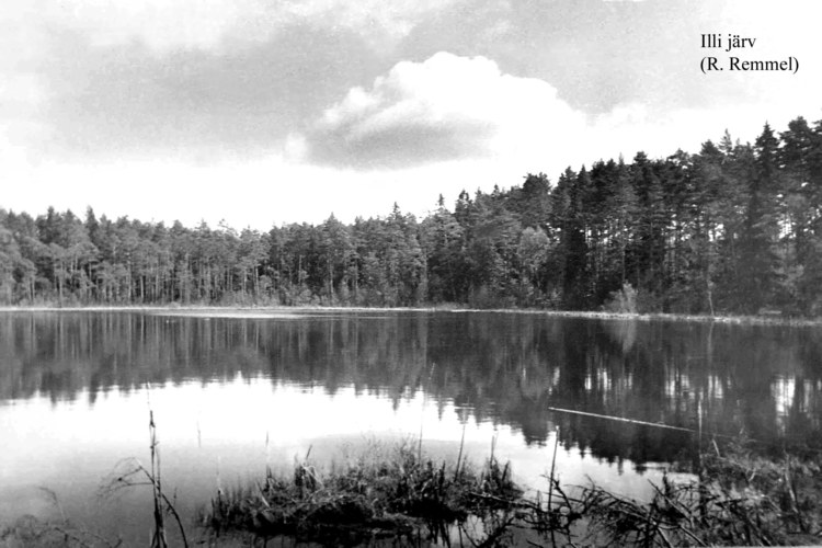 Maakond: Tartumaa Veekogu nimi: Illi Suurjärv Pildistamise aeg: teadmata Pildistaja: J. Remmel (Eesti Looduse arhiiv) Pildistamise koht: teadmata Asimuut: