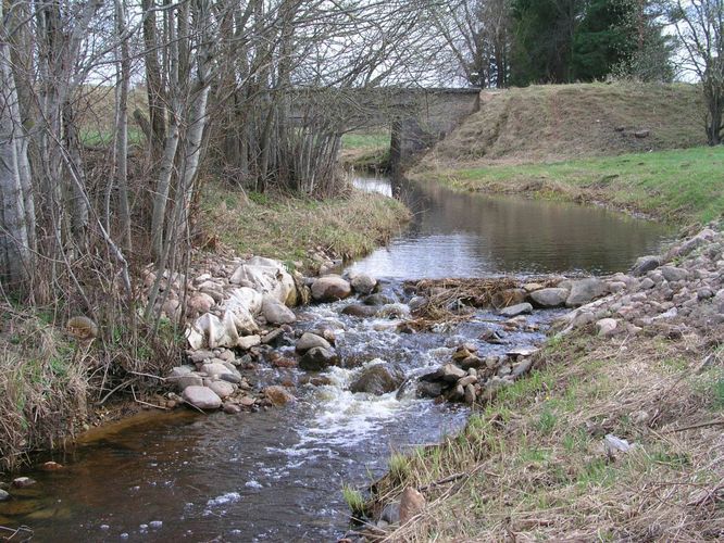 Maakond: Tartumaa Veekogu nimi: Ilmatsalu jõgi Pildistamise aeg: 19. aprill 2007 Pildistaja: H. Timm Pildistamise koht: Haage vana silla poole Asimuut: