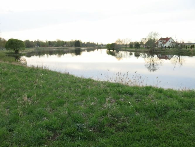 Maakond: Tartumaa Veekogu nimi: Ilmatsalu jõgi Pildistamise aeg: 8. mai 2014 Pildistaja: H. Timm Pildistamise koht: Ilmatsalu paisjärv Asimuut: