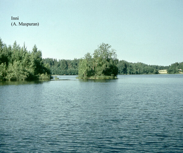 Maakond: Valgamaa Veekogu nimi: Inni järv Pildistamise aeg: teadmata Pildistaja: A. Maspuran Pildistamise koht: teadmata Asimuut:
