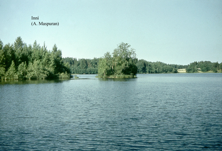 Maakond: Valgamaa Veekogu nimi: Inni järv Pildistamise aeg: teadmata Pildistaja: A. Maspuran Pildistamise koht: teadmata Asimuut: