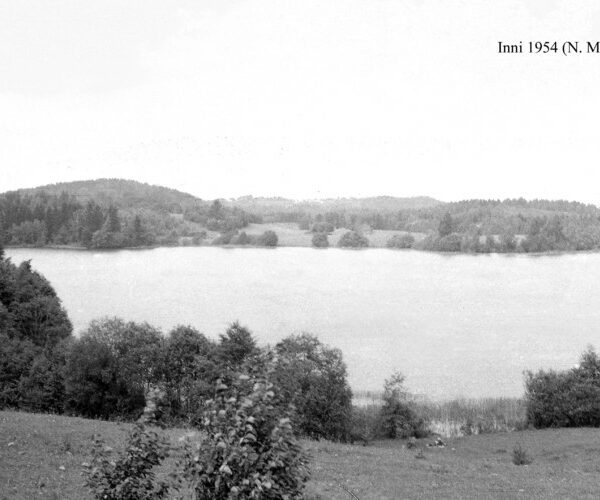 Maakond: Valgamaa Veekogu nimi: Inni järv Pildistamise aeg: 1954 Pildistaja: N. Mikelsaar Pildistamise koht: teadmata Asimuut: