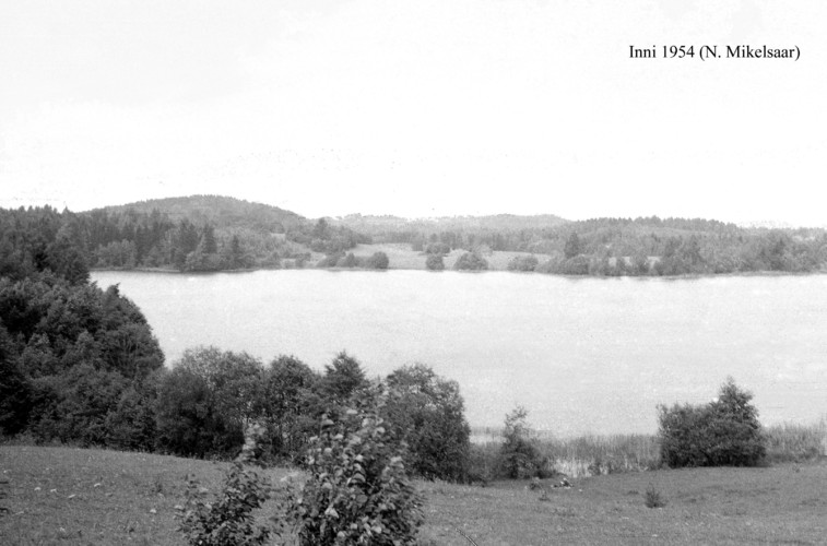 Maakond: Valgamaa Veekogu nimi: Inni järv Pildistamise aeg: 1954 Pildistaja: N. Mikelsaar Pildistamise koht: teadmata Asimuut: