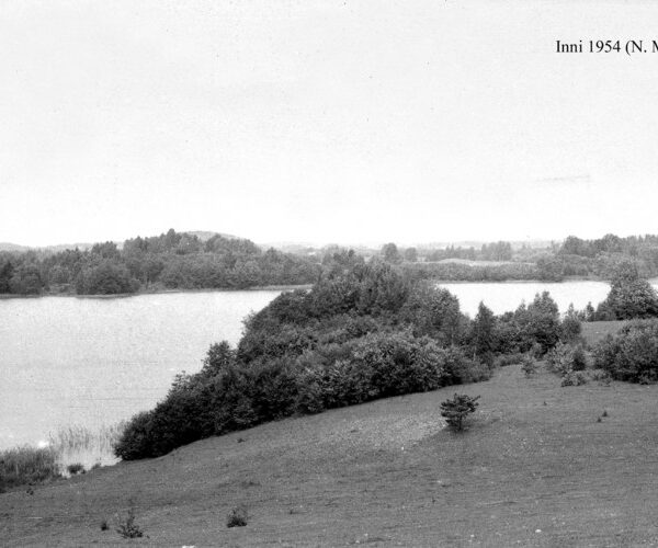 Maakond: Valgamaa Veekogu nimi: Inni järv Pildistamise aeg: 1954 Pildistaja: N. Mikelsaar Pildistamise koht: teadmata Asimuut: