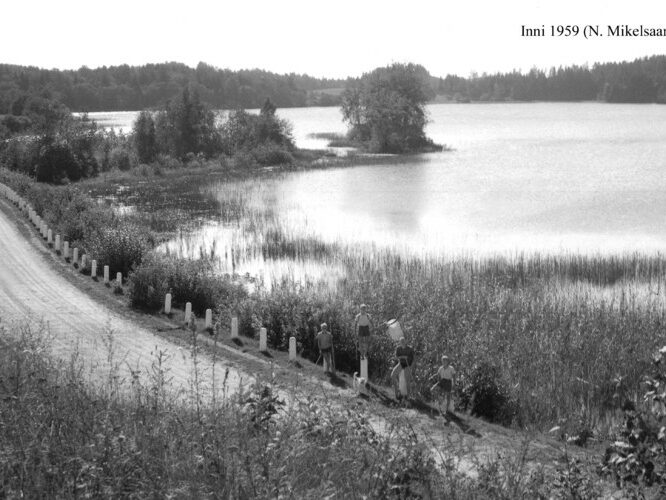 Maakond: Valgamaa Veekogu nimi: Inni järv Pildistamise aeg: 1959 Pildistaja: N. Mikelsaar Pildistamise koht: E kaldalt Asimuut: WNW