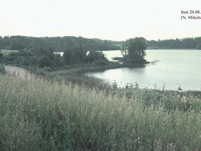 Maakond: Valgamaa Veekogu nimi: Inni järv Pildistamise aeg: 20. august 1965 Pildistaja: N. Mikelsaar Pildistamise koht: E kaldalt Asimuut: WNW