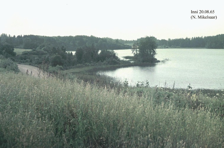 Maakond: Valgamaa Veekogu nimi: Inni järv Pildistamise aeg: 20. august 1965 Pildistaja: N. Mikelsaar Pildistamise koht: E kaldalt Asimuut: WNW