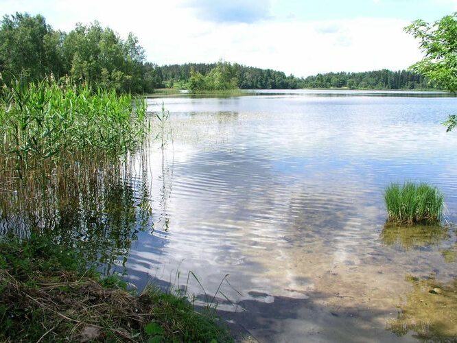 Maakond: Valgamaa Veekogu nimi: Inni järv Pildistamise aeg: 30. juuni 2005 Pildistaja: H. Timm Pildistamise koht: teadmata Asimuut: