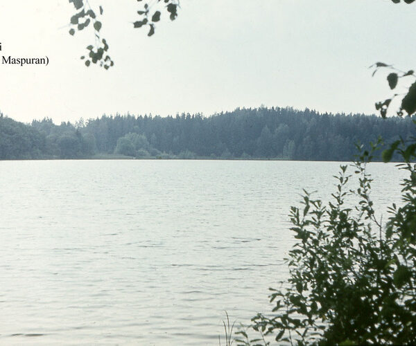 Maakond: Valgamaa Veekogu nimi: Inni järv Pildistamise aeg: teadmata Pildistaja: A. Maspuran Pildistamise koht: teadmata Asimuut: