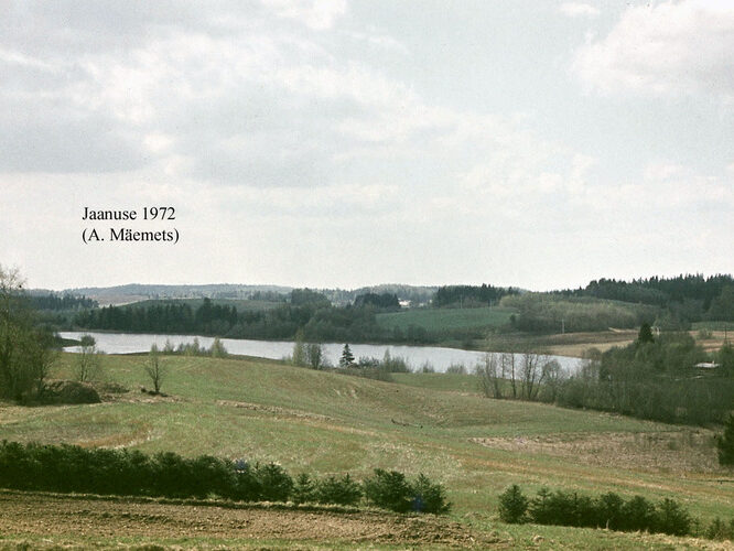 Maakond: Valgamaa Veekogu nimi: Jaanuse järv Pildistamise aeg: 1972 Pildistaja: A. Mäemets Pildistamise koht: teadmata Asimuut: